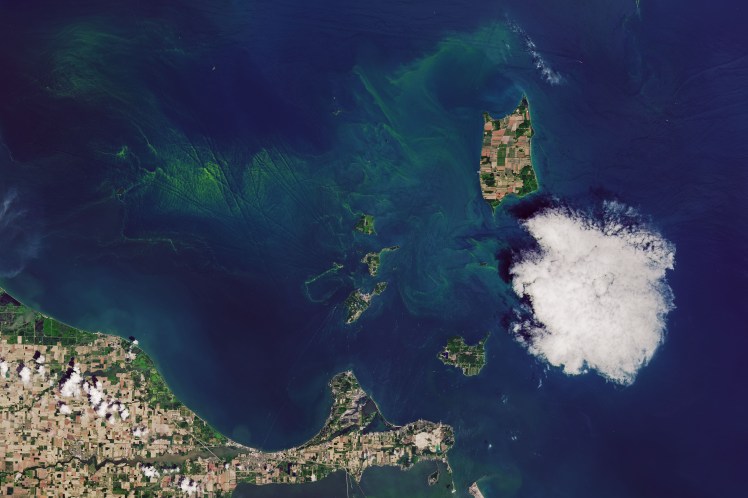 erie_oli_2018185_lrg